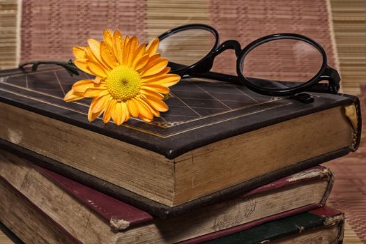 vintage book and flower
