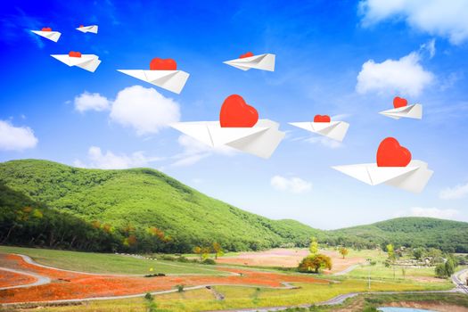 aircraft paper carry heart