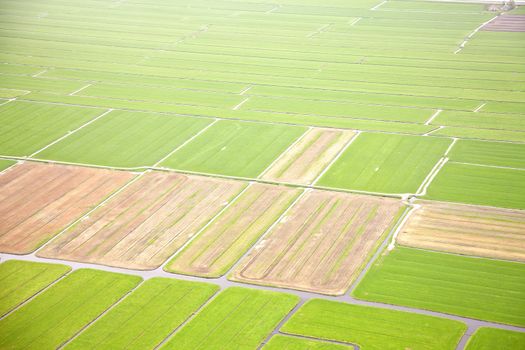 Dutch farm landscape from above, The Netherlands