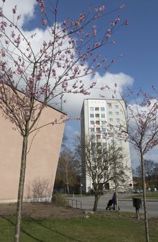 VÄLLINGBY, STOCKHOLM, SWEDEN ON APRIL 20, 2014: High rise residential architecture, fifties church building and cherry blossom on April 20, 2014 in Vallingby, Stockholm, Sweden.