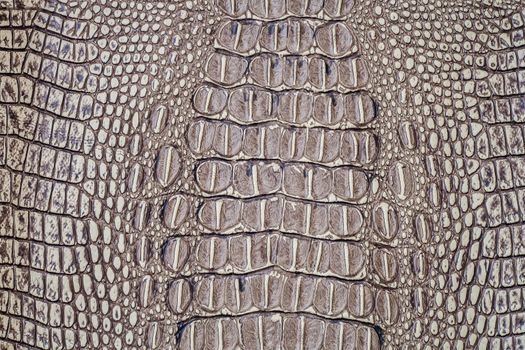 Crocodile skin texture