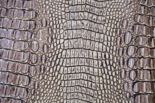 Crocodile skin texture