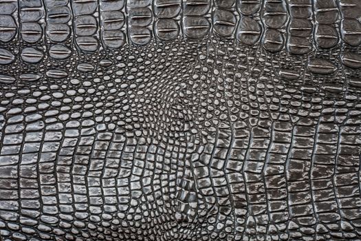 Crocodile skin texture