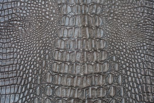 Crocodile skin texture