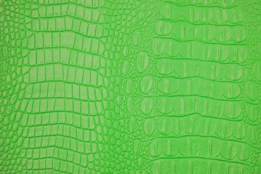 Green Leather texture