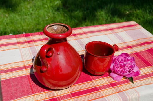 retro old vintage teapot and red cup in nature peony background