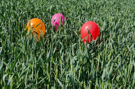 close up of three little balloons on high grass