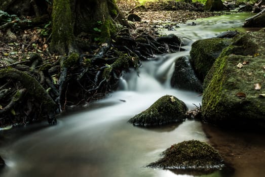 the flow of water in a  creek