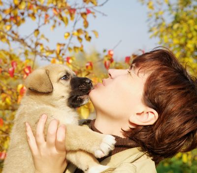 The puppy of the Spanish mastiff licks a woman's face