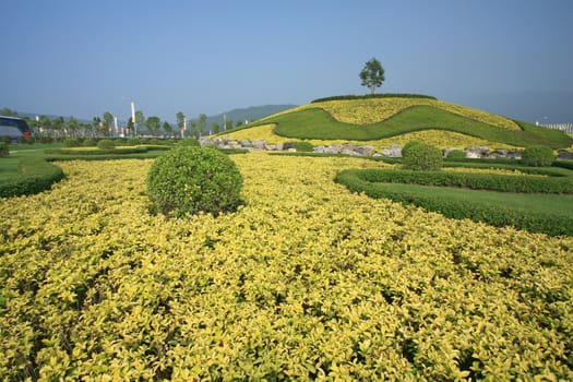 Royal Flora Expo, Chiang Mai, Thailand