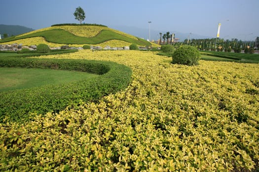 Royal Flora Expo, Chiang Mai, Thailand