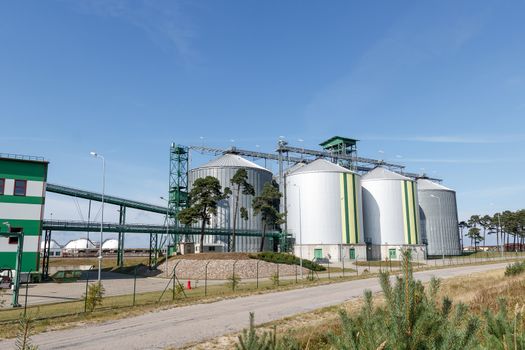 Multiple biological fuel storage tanks connected to the biofuel factory