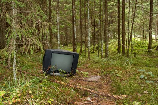 a black TV left in the forest