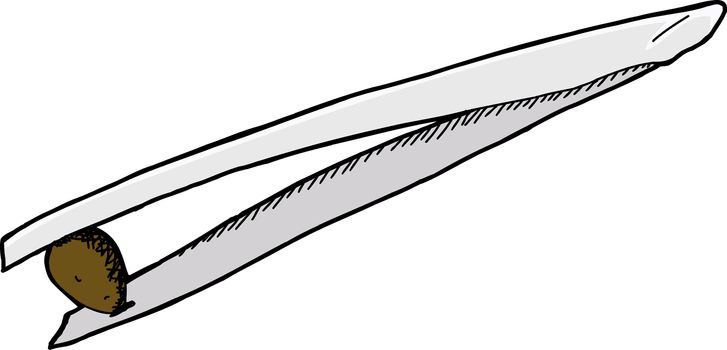 Isolated metal tweezers holding little seed over white