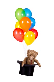 teddy bear in old hat with balloons