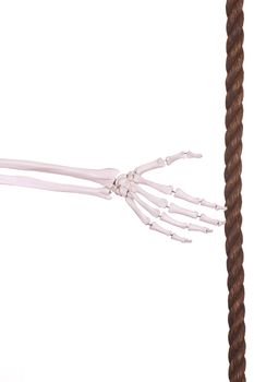 skeleton hand with old brown rope