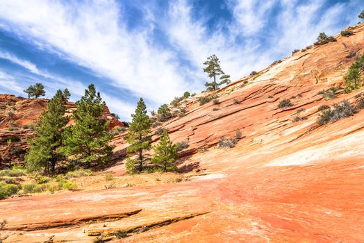 Zion National Park, USA. Scenic multicolored cliffs create an unforgettable landscape 