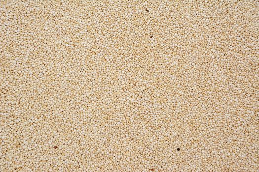 Quinoa, abstract background texture