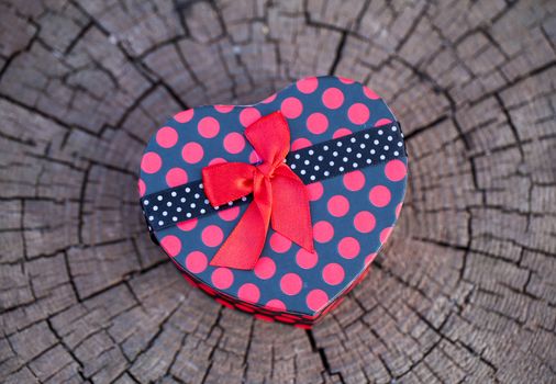 Heart Shape Gift Box in Nature