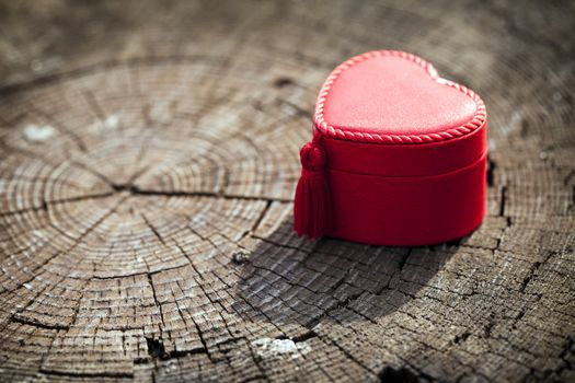 Heart Shape Gift Box in Nature