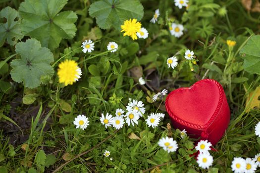 Heart Shape Gift Box in Nature
