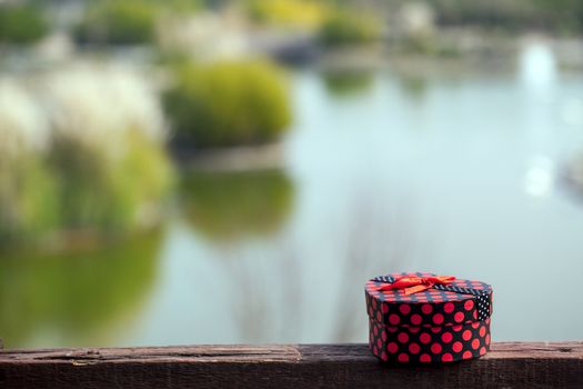 Heart Shape Gift Box in Nature