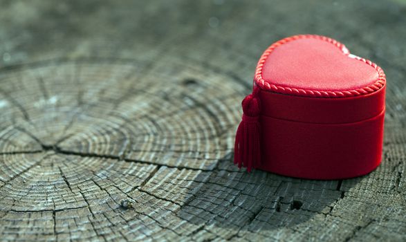 Heart Shape Gift Box in Nature