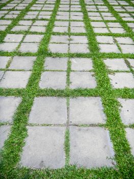 Concrete walkway in the park on green gras