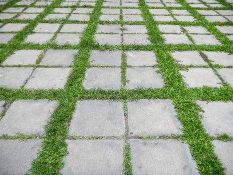 Concrete walkway in the park on green gras