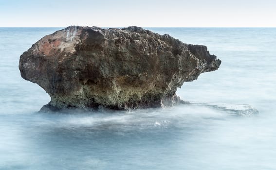 rock reef in the sea