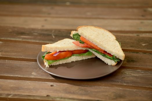 veggie sandwich on a picnic table