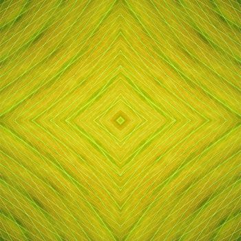 Green leaf abstract background texture