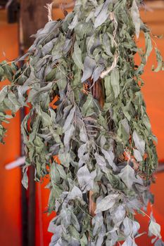 Tea, sample herbs drying in the sun