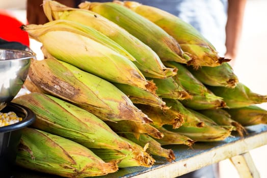 Fresh corn with their husks on lined up close together.