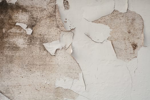 wall paint