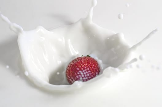 Fresh strawberry splashing in the milk, close image
