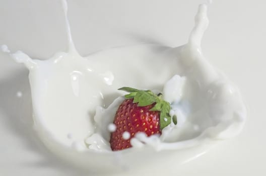 Close up image of a strawberry splashing in milk.