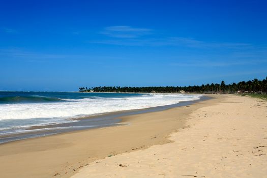 beautiful beach of maracaipe near recife pernambuco state brazil