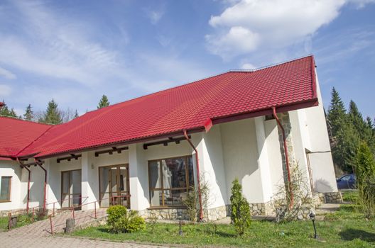 Modern house in park with forest behind