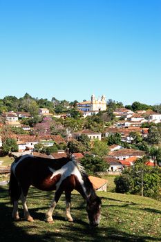 horse grazing and cityscape of the typical village of tiradente in minas gerais state in brazil