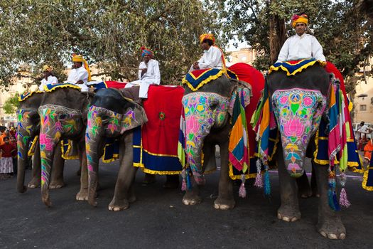 Jaipur, India - March 29, 2009: people riding elephants in the celebration of the Gangaur festival, one of the most important of the year march 29th 2009 in Jaipur, Rajasthan, India
