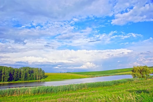 Beautiful summer landscape: meadow, lake and forest.