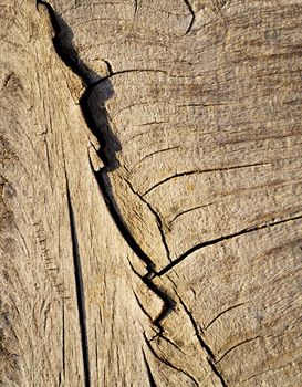 background or texture Old dried wood with crack