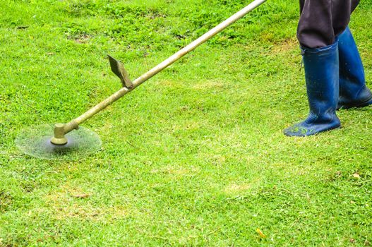 Worker mowing grass with mowing machine 