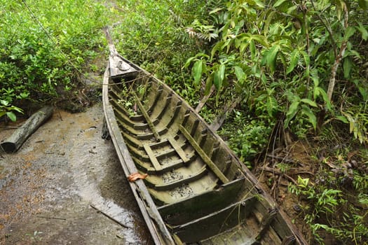 the old boat in mangroves forest, Krabi, Thailand.