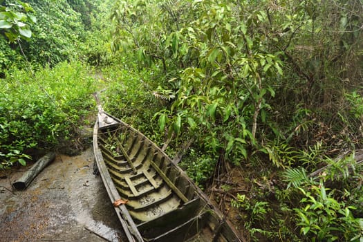 the old boat in mangroves forest, Krabi, Thailand.