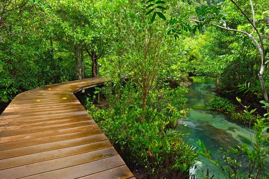 Tha pom nature trail and Crystal stream, Krabi, Thailand