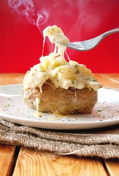 Steaming hot oven baked potato with melting cheese 