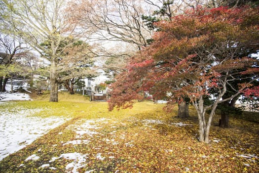 Hakodate autumn season with snow