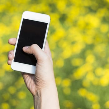 Woman hand holding smartphone against spring green and yellow flowers background